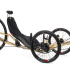 Vtx Gold 1